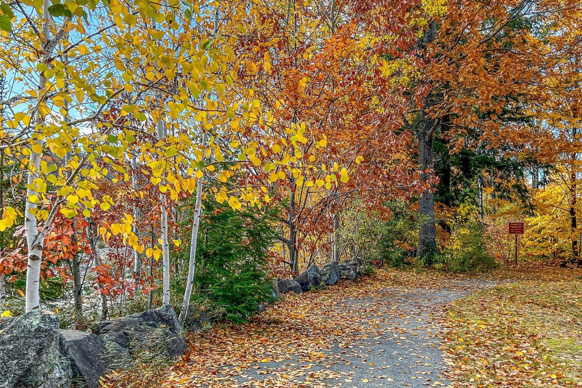 Autumn Colors Condo At Rivergreen Lincoln Exterior photo
